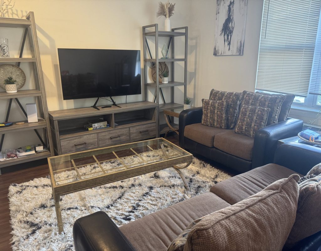 Professional cleaner providing expert house cleaning in Lucas, TX